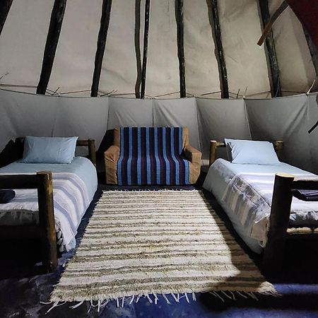 Tsitsikamma Wolf Sanctuary Eco Cabins & Teepees 스톰스리비에르 외부 사진