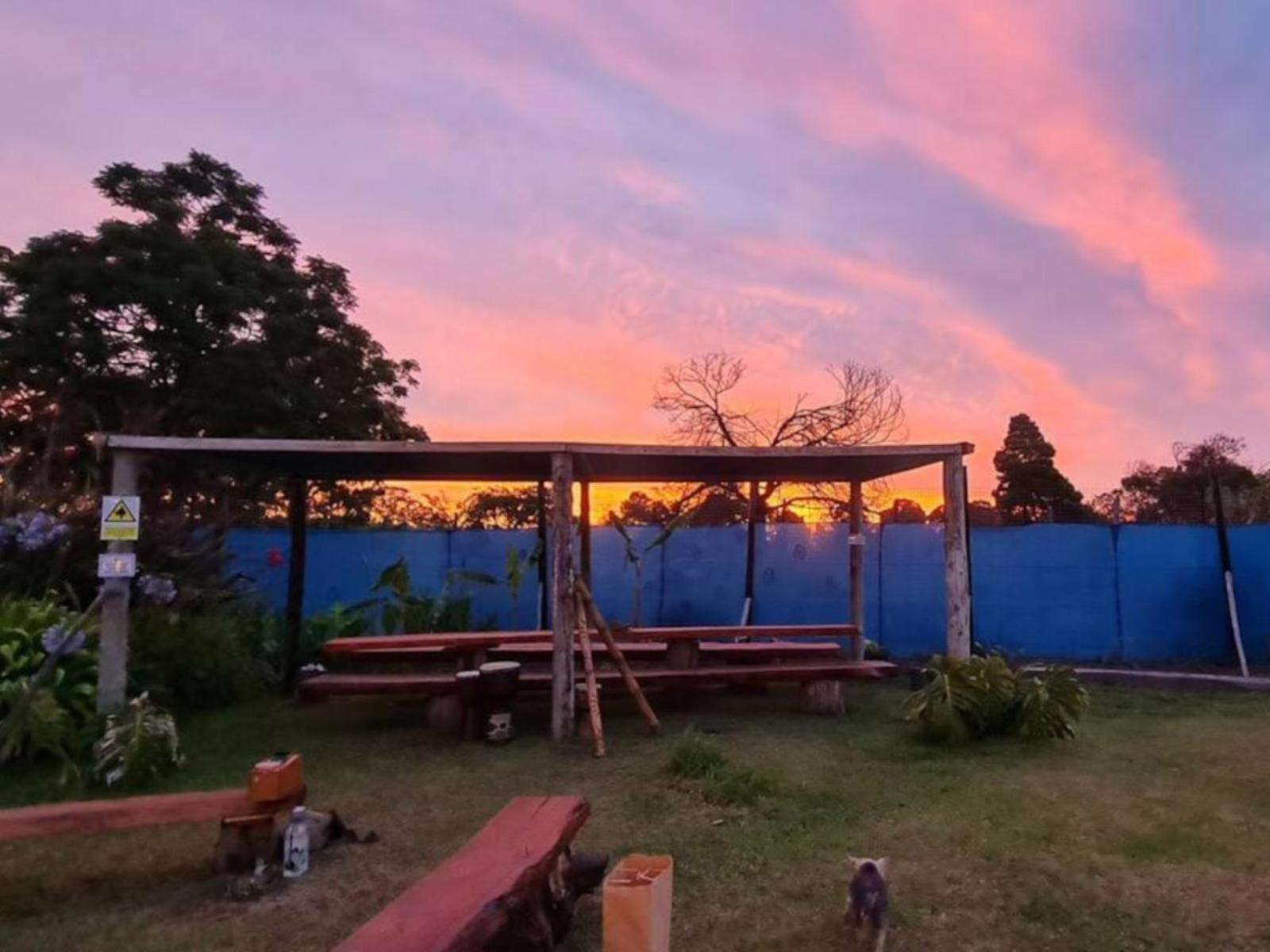 Tsitsikamma Wolf Sanctuary Eco Cabins & Teepees 스톰스리비에르 외부 사진