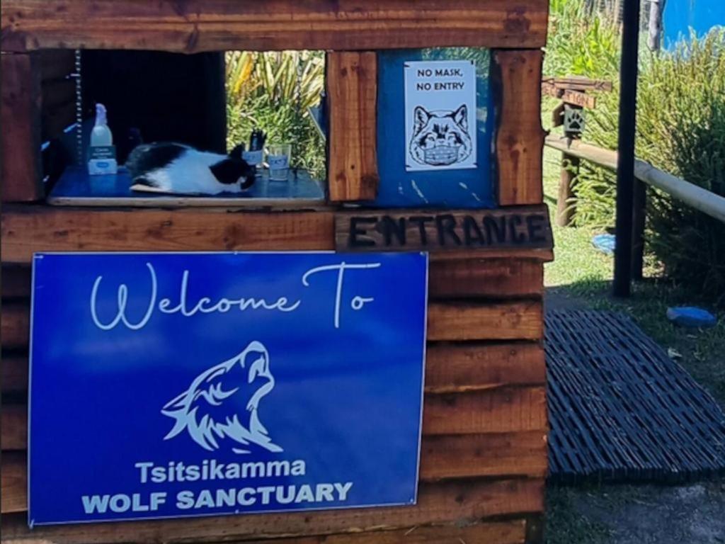 Tsitsikamma Wolf Sanctuary Eco Cabins & Teepees 스톰스리비에르 외부 사진