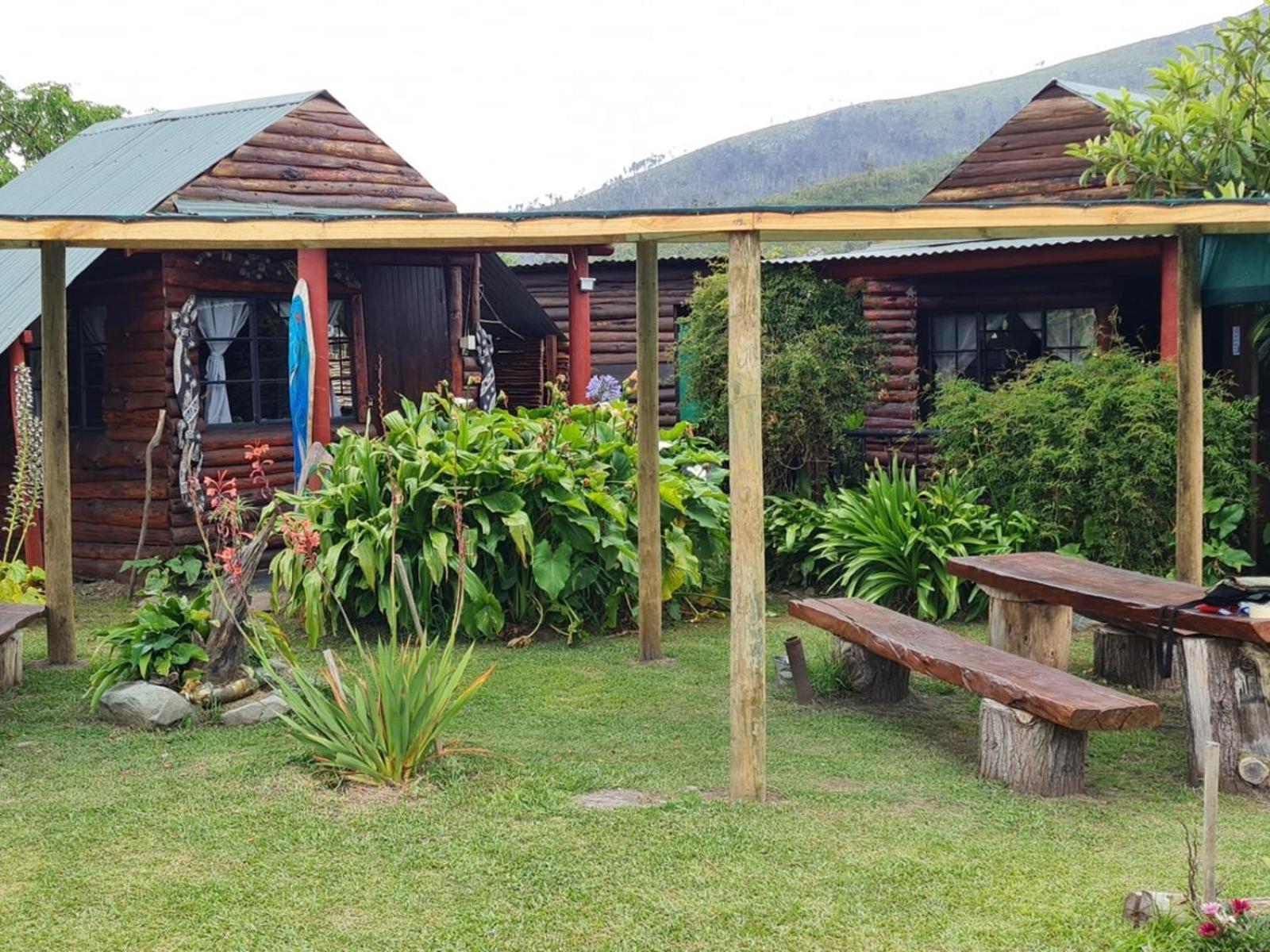 Tsitsikamma Wolf Sanctuary Eco Cabins & Teepees 스톰스리비에르 외부 사진