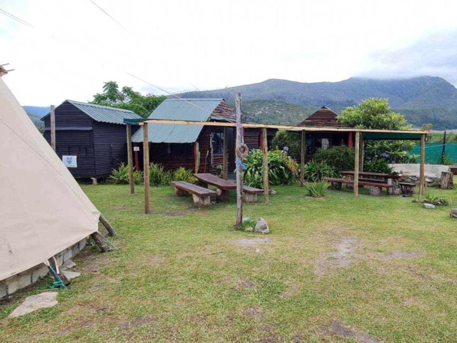 Tsitsikamma Wolf Sanctuary Eco Cabins & Teepees 스톰스리비에르 외부 사진