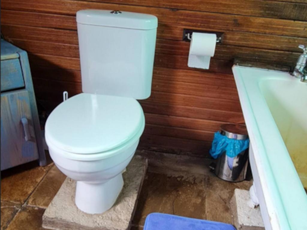 Tsitsikamma Wolf Sanctuary Eco Cabins & Teepees 스톰스리비에르 객실 사진