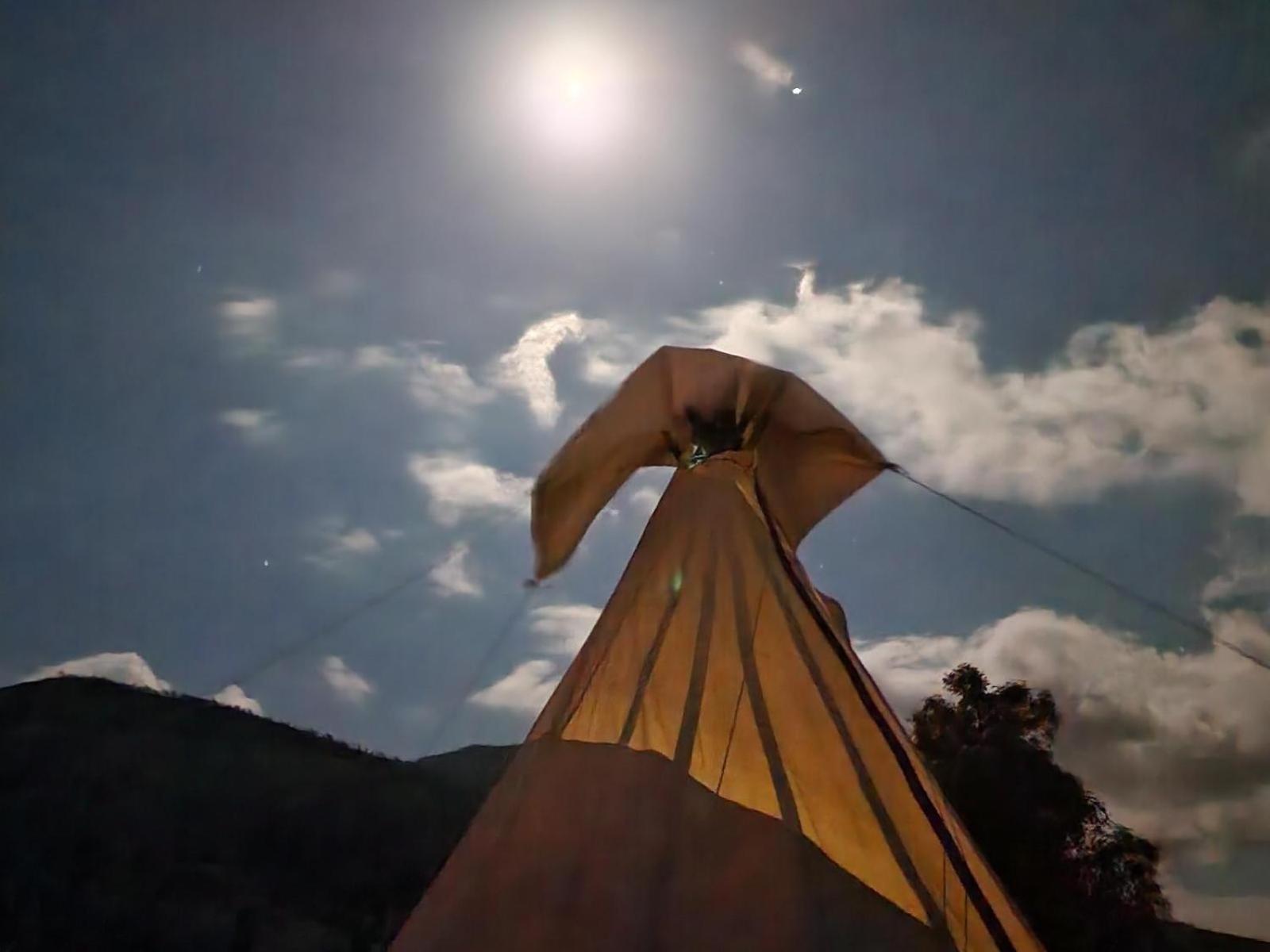 Tsitsikamma Wolf Sanctuary Eco Cabins & Teepees 스톰스리비에르 객실 사진