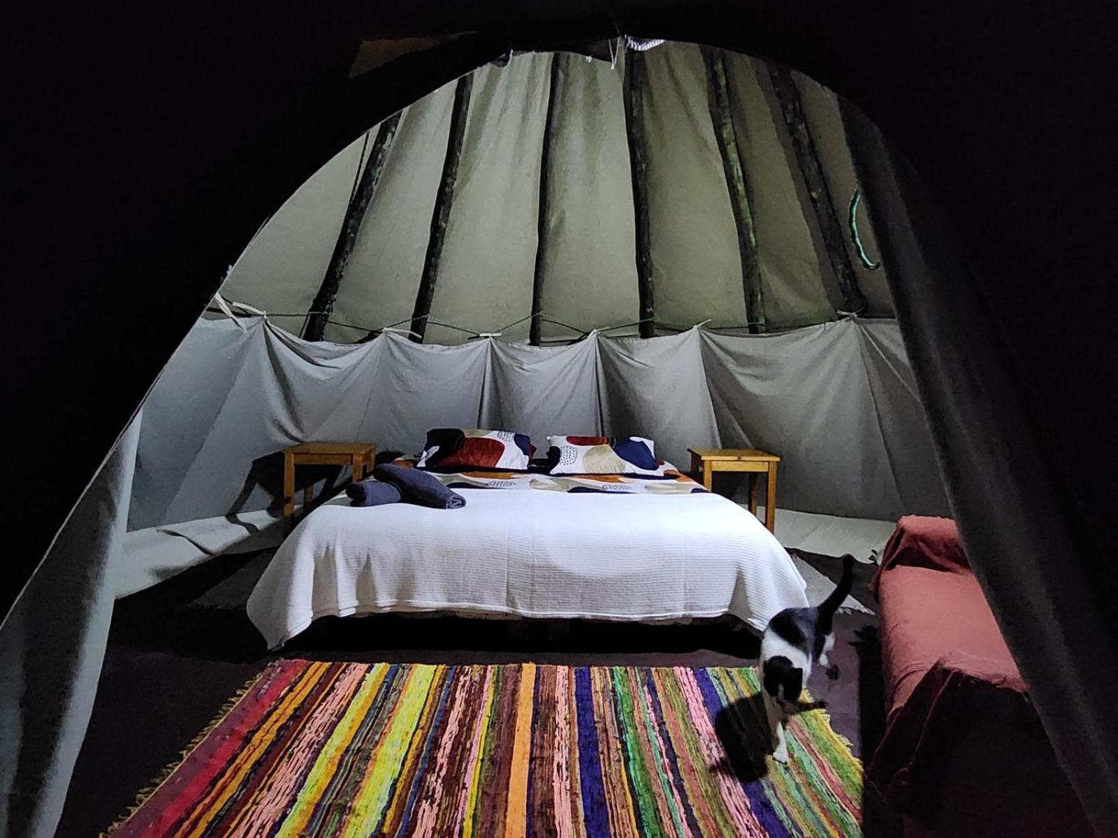 Tsitsikamma Wolf Sanctuary Eco Cabins & Teepees 스톰스리비에르 객실 사진