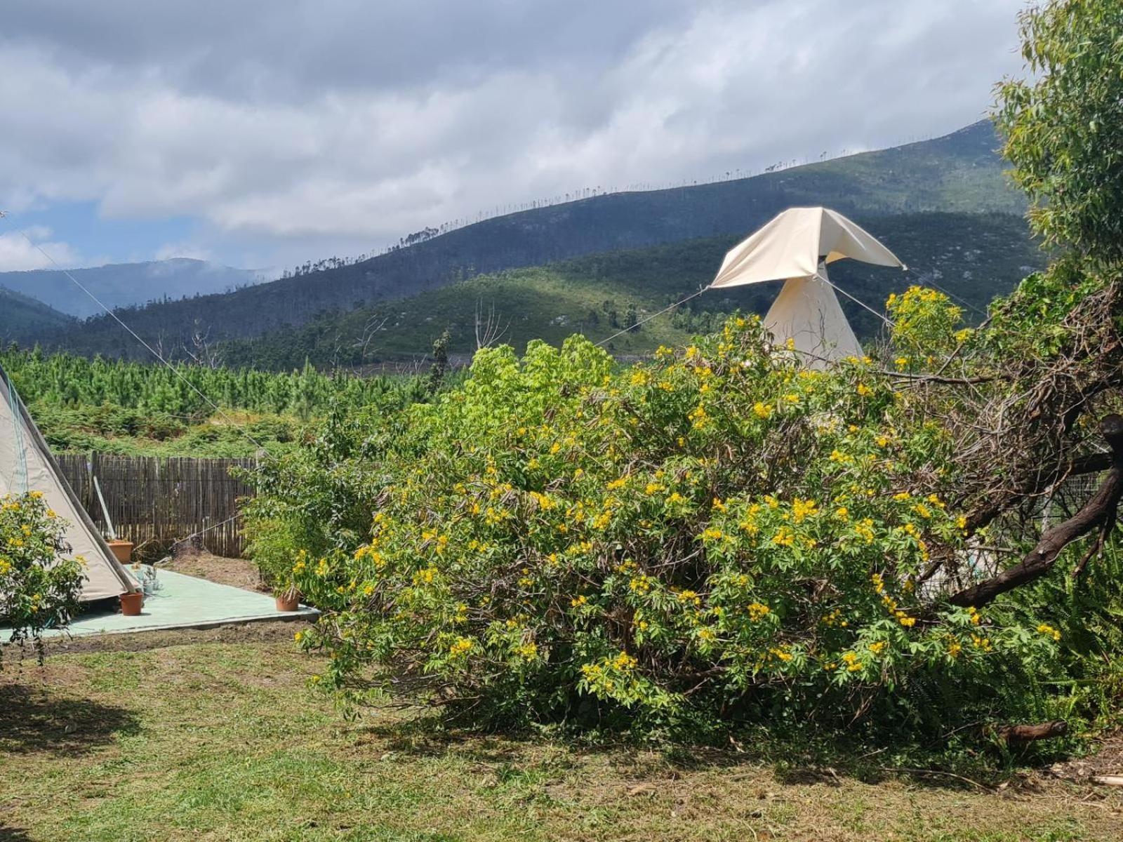 Tsitsikamma Wolf Sanctuary Eco Cabins & Teepees 스톰스리비에르 객실 사진